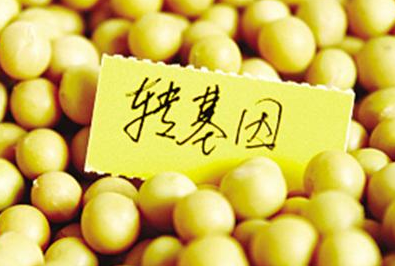 转基因
